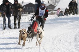 Lenk 2012 SM